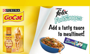Free Dog & Cat Food Samples: How to Get Free Pet Food & Other Pet Freebies