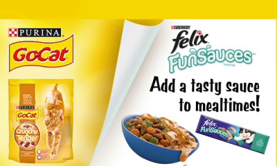 How to Get Free Dog & Cat Food Samples from Royal Canin & Purina