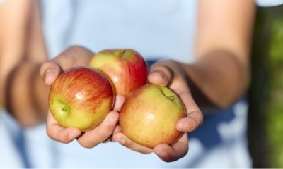 Win a Month Supply of Jazz Apples