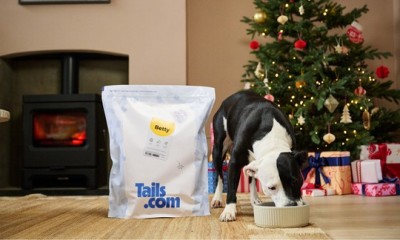 Free Huge Bag of Dog Food - Includes 62 Meals