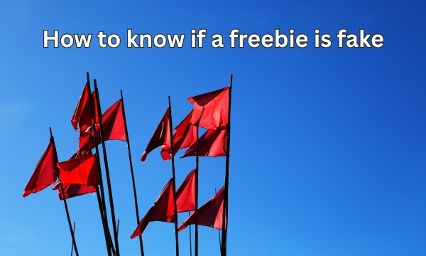 Red Flags: Fake Freebies and Competitions