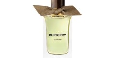 Free Burberry Perfume