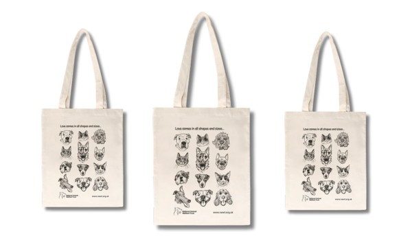 Win 1 of 100 Tote Bags | Magic Freebies