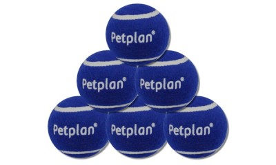 Win 1 of 75 Petplan Tennis Balls
