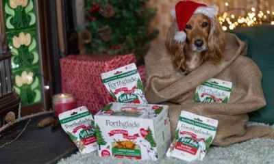 Win a Forthglade Dog Food Bundle