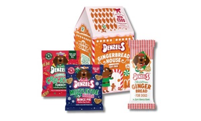Win 1 of 50 Denzel's Gingerbread House