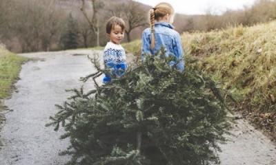 Free Gardening Workshops for Children at Dobbies