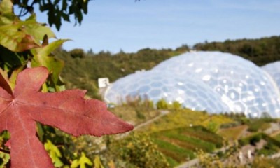 Free Community Weekends (Cornwall)