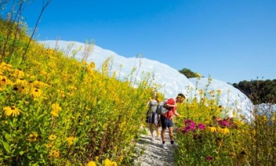 Free National Lottery Open Week Events