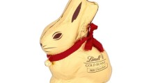 Free Lindt Chocolate Bunny