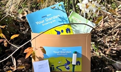 Free Spring Garden Kit
