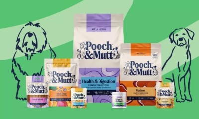 Win a Year's Supply of Pooch & Mutt Dog Food