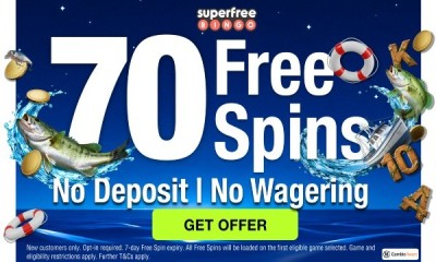 70 Bingo Free Spins - No Deposit & No Wagering