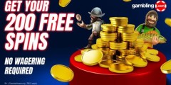 200 Free Spins - No Wagering Required