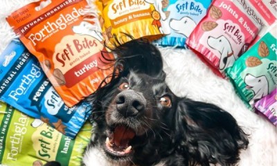 Win a Forthglade Dog Food Bundle