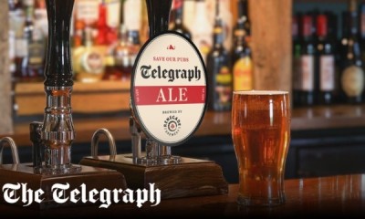 Free Pint of Telegraph Ale