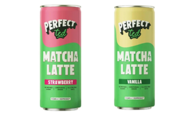 Free Perfect Ted Matcha Latte