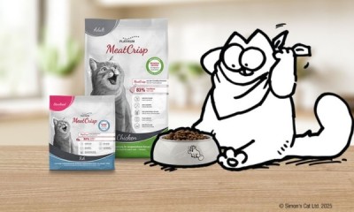 Free Platinum Cat Food