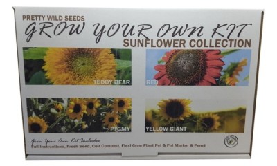 Free Giant Sunflower Seeds