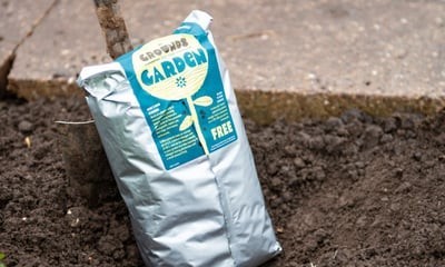 Free Starbucks Coffee Grounds (for your garden)