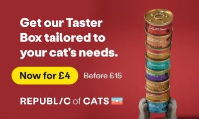 Cat Food Box - Only £4
