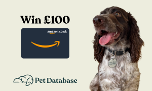 Win a £100 Amazon.co.uk Voucher
