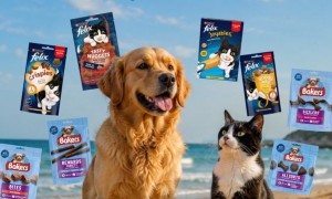 Win 1 of 10 Dog or Cat Treat Packs