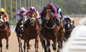 Free Horse Racing Tickets at Arena Racecourses