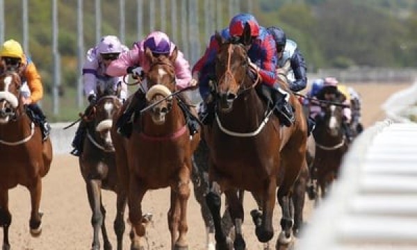 Free Horse Racing Tickets at Arena Racecourses