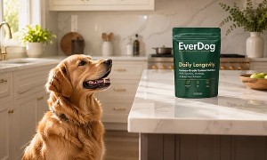 Free EverDog Daily Longevity Dog Supplement