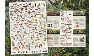 Free The Open University Evolution Poster