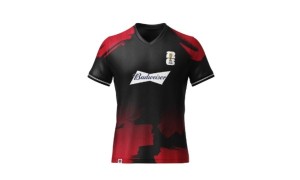 Free Budweiser Football Shirt