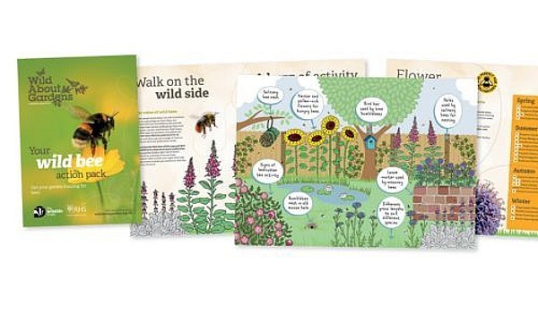 Free Sussex Wildlife Trust Wild Bee Kit