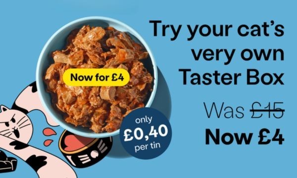 Cat Food Box - Only £4