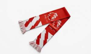 Free Coca-Cola Premier League Scarf