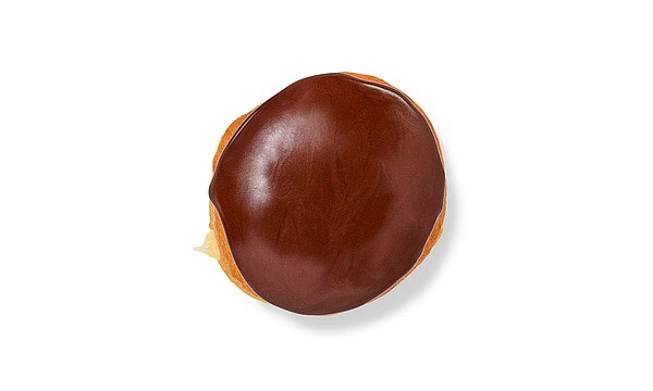 Free Dunkin' Boston Kreme Donut - today only!