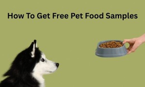 Free Dog & Cat Food Samples: How to Get Free Pet Food & Other Pet Freebies