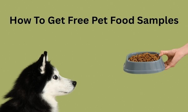 Free Dog & Cat Food Samples: How to Get Free Pet Food & Other Pet Freebies