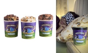 Free Ben & Jerry's Pillowcase Pair