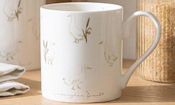Free Sophie Allport Mug