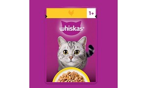 Free Whiskas Cat Food