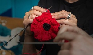 Free Royal British Legion Poppy Pattern