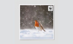 Free WWF Christmas Cards
