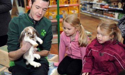Free Pets at Home Workshops