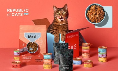 Cat Food Box - £3 for 28 Meals