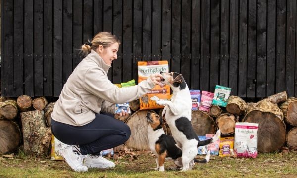 Win a Forthglade Dog Food Bundle